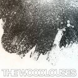 The Woodlouses : Dysdera Crocata